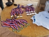 Aviron_Zones_Jeunes_002