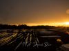 Aviron_Gravelines_0003
