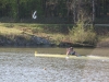 IMG_1274.jpg