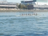 Aviron_DefiSeine2017_021