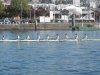 Aviron_DefiSeine2017_025