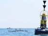 Aviron_Jersey_Carteret026