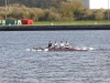 Aviron_CJR_Caen_014