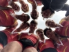 Aviron_CoupeDeFrance037