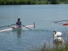 Aviron_ChampionnatNormandieJ14_065