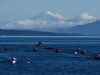 Aviron_Mer_Mondiaux_Canada_019