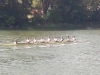 Aviron_DefiSeine2018_006
