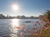 Aviron_Sprints_Vichy_026