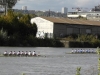 DefiSeine_Aviro_0019