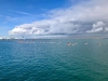 RadeBoutBras_Aviron_Cherbourg_0004