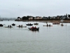 Aviron_Culs_Geles_0011