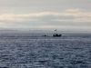 Aviron_Pierrick_Ledard_0007