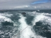 Raid_Aviron_Jersey_Carteret011